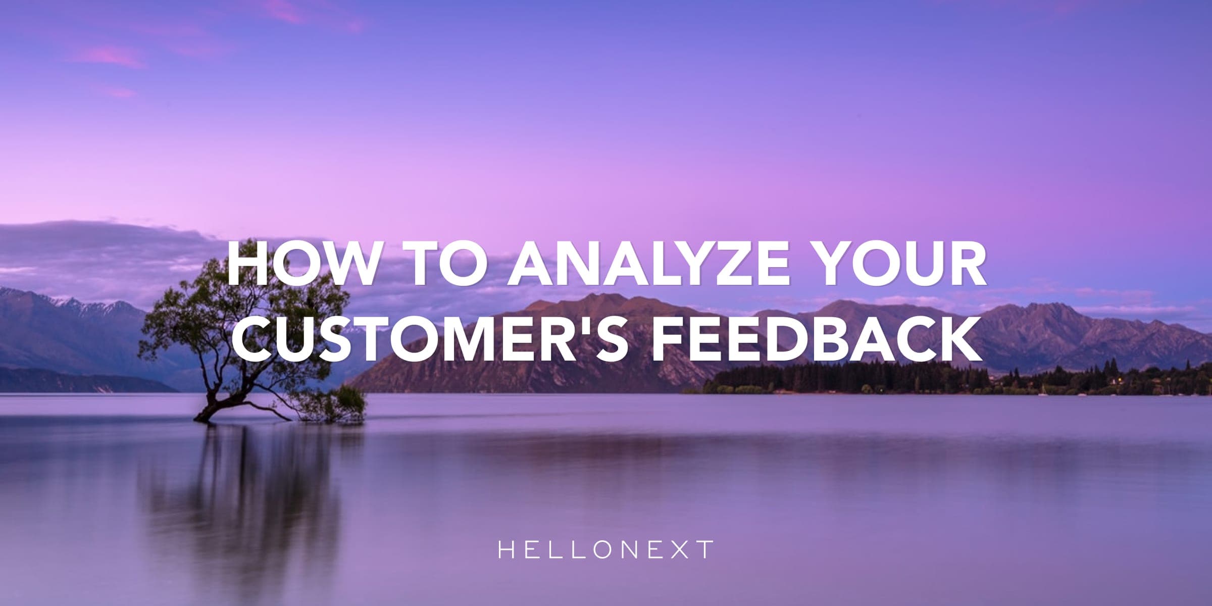 How to Analyze Your Customer's Feedback