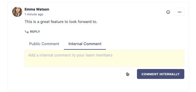 Feature request tool with internal comments and private comments